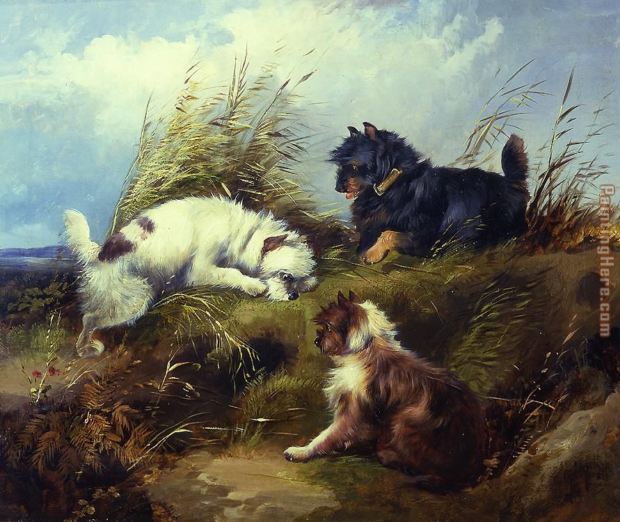 Terriers painting - George Armfield Terriers art painting